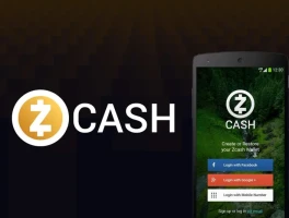 Zcash's Price Jump: What's Driving the Hype and Are Redditors Buying It?