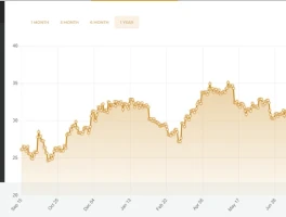 Silver Spot Price: What's Driving the Rally and What We Know