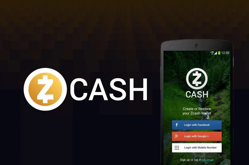 Zcash's Price Jump: What's Driving the Hype and Are Redditors Buying It?